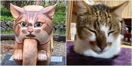 猫バイクを真正面からみると、寺の飼い猫「アウアウ」（写真右）にそっくり！（雲林寺提供）