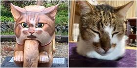 猫バイクを真正面からみると、寺の飼い猫「アウアウ」（写真右）にそっくり！（雲林寺提供）