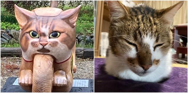 猫バイクを真正面からみると、寺の飼い猫「アウアウ」（写真右）にそっくり！（雲林寺提供）