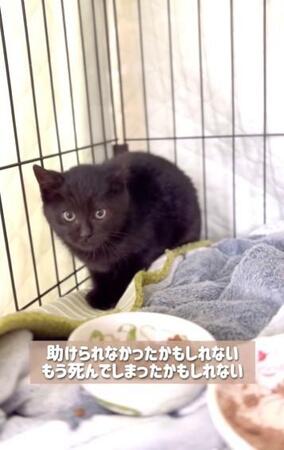 雪の中での再会、「涙が止まらなかった」（高村さん提供、Instagramよりキャプチャ撮影）