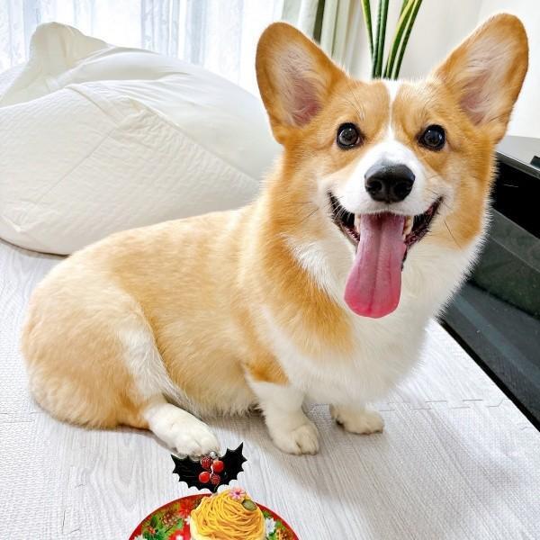 ケーキを前ににこにこ笑顔の柊くん（画像提供：Daikiさん）