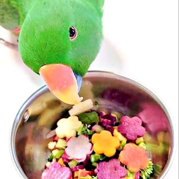 「これは？」  型抜き野菜を前に困惑するオオハナさん（画像提供：ゴンさん）