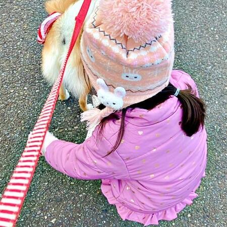 公園で出会った犬を撫でる娘さん（画像提供：きらのどんさん）