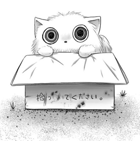 少女が拾った生き物は…優しい出会いから始まる衝撃の展開　「ゾッとした」と戦慄の声相次ぐ【漫画】