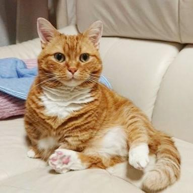 元気だった頃。闘病中は、写真を撮ることもできなかった