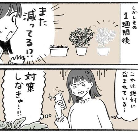 オクラそしてピーマンも…丹精込めて育てた野菜の植木鉢が消えた!?　スマートタグが決め手で警察も捜査を開始！【実話漫画】
