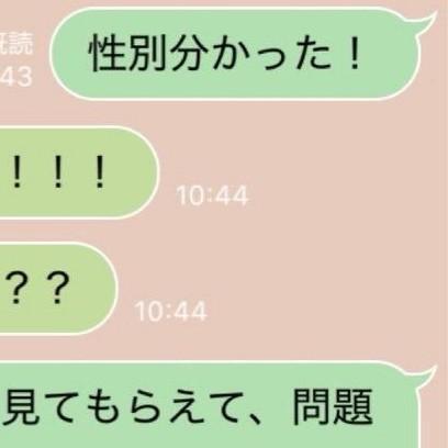 「性別分かった！」夫に報告すると… ／ハルさん（@nameko__Q）提供＝画像をトリミングしています