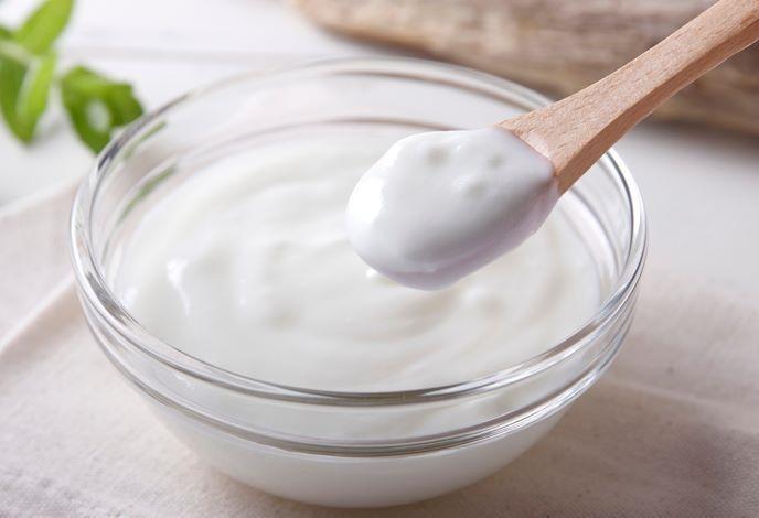 菌リレーの走者として活躍するヨーグルト