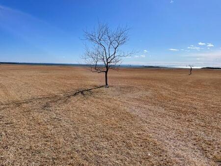 東京23区内で撮影された「写真」に絶句…「アフリカかと思った」「ナミブ砂漠に似ている」　実は、人気施設も写りこんでいた？