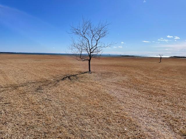 葛西臨海公園の西なぎさで撮影された風景／ヤマキさん（@Yamaki_82）提供