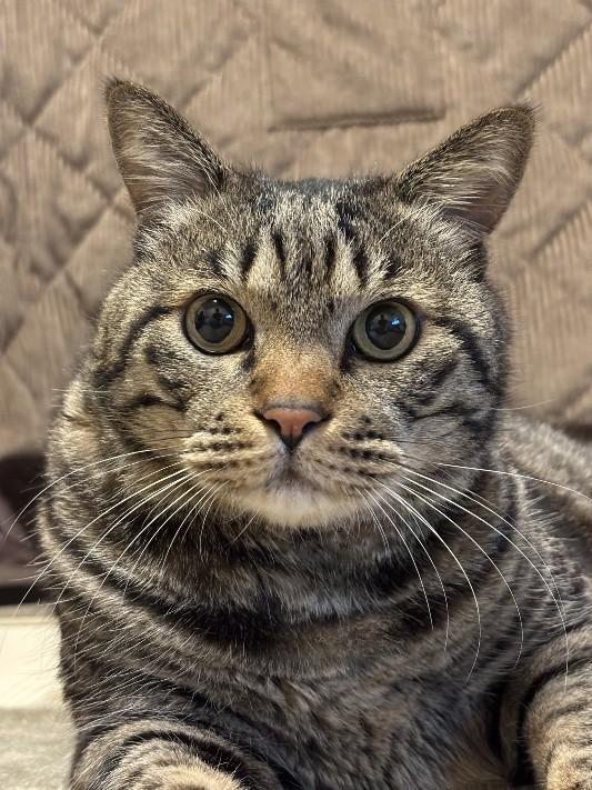 熱い視線で、ママに「寝ようよ」と訴える姿もかわいい…！