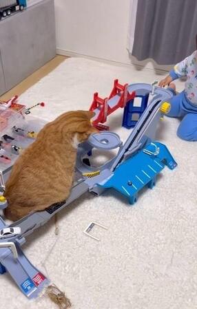 トミカのおもちゃで遊んでいたが…（「ʜᴀᴋᴜ ɴᴀɢɪ」さん提供、Instagramよりキャプチャ撮影）