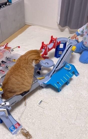トミカのおもちゃで遊んでいたが…（「ʜᴀᴋᴜ ɴᴀɢɪ」さん提供、Instagramよりキャプチャ撮影）