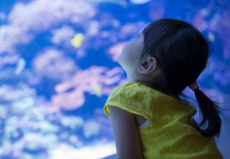 アナゴの水槽を二度見……SNSで「発想が天才すぎる」「かわいい」 話題になった展示のアイデアとは?