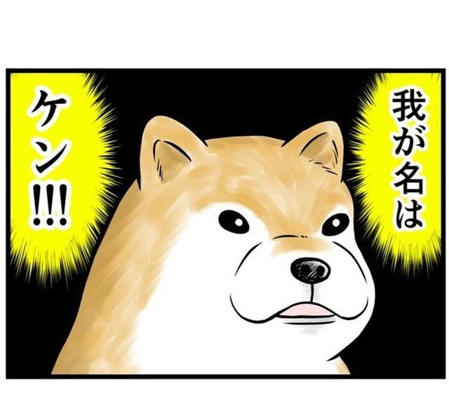 川で拾った犬の名はケン（夢窓かずみさん提供）