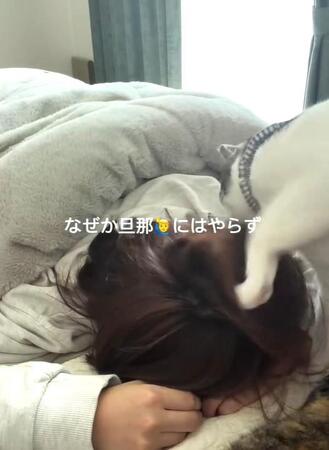 朝5時過ぎから始まる攻防戦。“ニャラーム”が発動！（「保護猫きょうだいハレとアメ」さん提供、Instagramよりキャプチャ撮影）