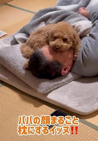 パパの顔面を枕にする犬さん「苦しくないですか？」「大好きなんですね」父が溺愛にいたるまで