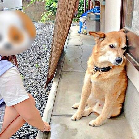 お姉ちゃんにはプイッ！ ところがパパに対しては！？ （画像提供：ゆずのなかさん）