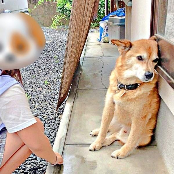 お姉ちゃんにはプイッ！ ところがパパに対しては！？ （画像提供：ゆずのなかさん）