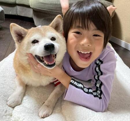 小5息子「眠るのが好きだから寝かせてあげよう」赤ちゃんの時から寄り添った18歳柴犬の最期に涙「チャコを超える可愛い存在が見つからない」