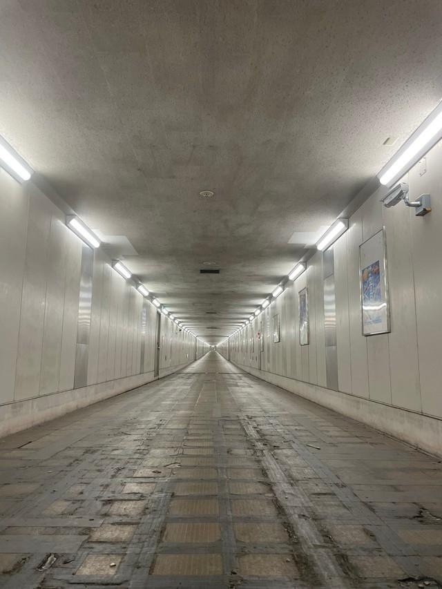 まるで映画『8番出口』？かつて「成田空港駅」だった駅の現状（北瀬みくじさん提供）