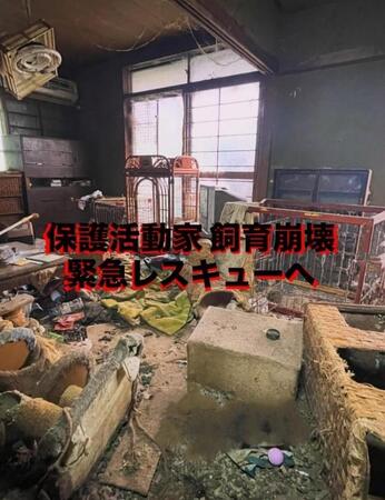 レスキューに行ってみたら「亡骸のほうが多かった」倒れた保護活動家の自宅で、犬猫の「飼育崩壊」