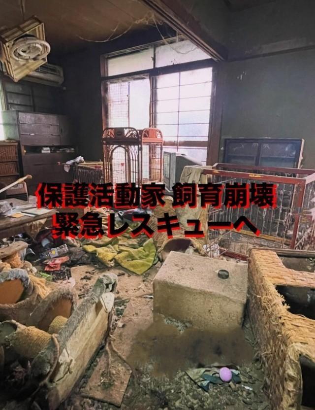 関西のある一軒家で起きた保護活動家の飼育崩壊現場（「動物保護団体わんらぶ」さん提供、Instagramよりキャプチャ撮影）
