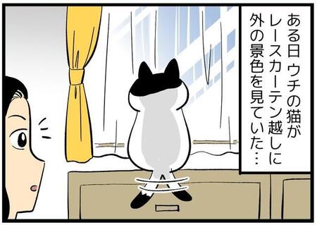 【漫画】良かれと思ってやったのに…猫の謎行動に振り回されるニンゲンたち　カーテン開けたら不満げ、空気清浄機の上に乗る…