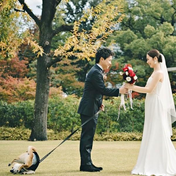 新郎新婦の背後でーーゴロンと転がるころっけくん（画像提供：Threads／@north_017さん）