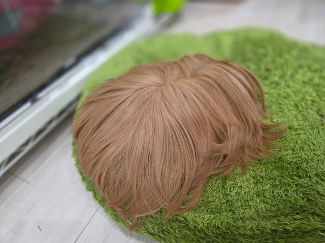 ウィッグにしか見えないこちらの正体は…！？／はるこっこさん（@inin87c）提供
