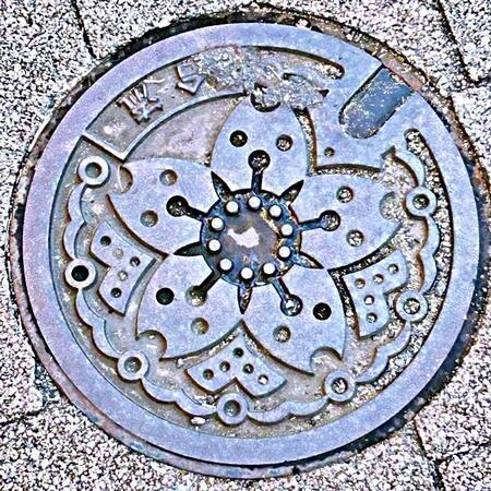 ochichanさん撮影。桜の花をモチーフにした東京都の下水道マンホールのフタ（画像提供：ochichanさん）