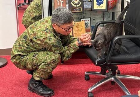 陸上自衛隊宇都宮駐屯地の中央即応連隊を表敬し連隊長と戯れる羊子ちゃん／自衛隊栃木地方協力本部 公式X（@tochigi_pco）