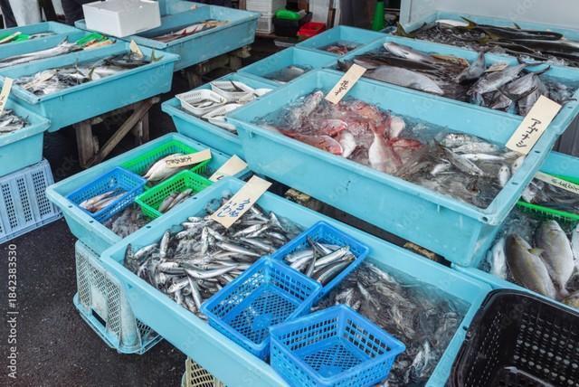 鮮魚売り場に並ぶ魚のイメージ※この画像はイメージです（Metro Hopper/stock.adobe.com）