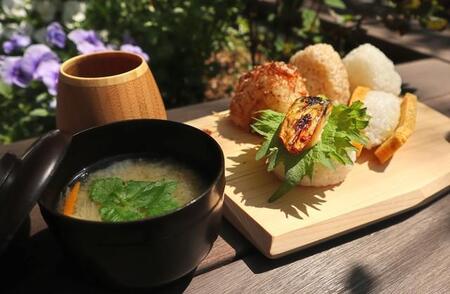 春の日差しを浴びながらおむすびとみそ汁で心身を癒す