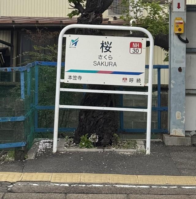 ここは、名鉄名古屋本線の桜駅（水トさん提供）