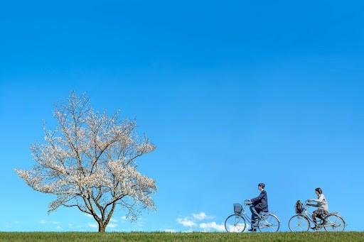 2026年4月～自転車の青切符導入※画像はイメージです（chikala/stock.adobe.com）