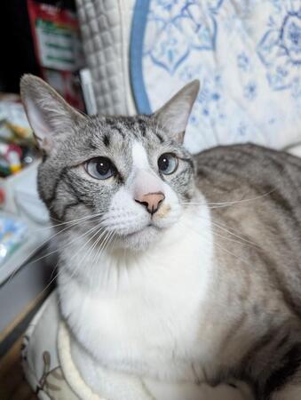 青みがった目もチャームポイント