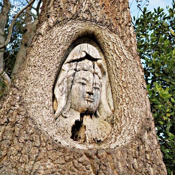 思わず二度見！ 木に直接彫られた「令和観音」（画像提供：ホウロクさん）