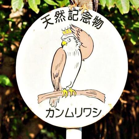 まるで自己紹介！？ 標識にとまったカンムリワシにびっくり（画像提供：gentilisさん）