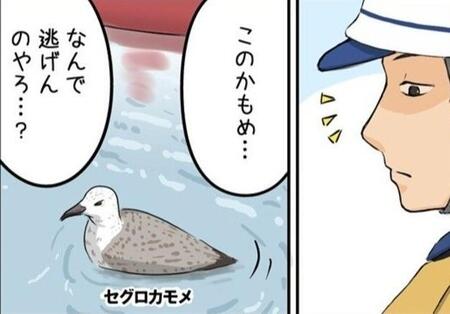 【漫画】『かもめを拾った話』より（タニシさん提供）