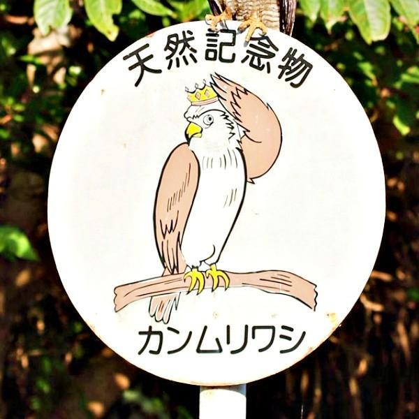 まるで自己紹介！？ 標識にとまったカンムリワシにびっくり（画像提供：gentilisさん）
