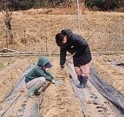 作業中の畑で寝そべっているのは…（@farm_docan）提供※画像はトリミングしています