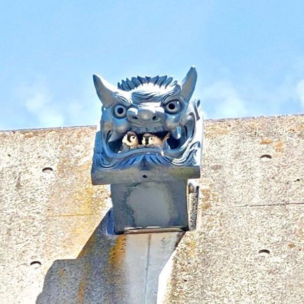 サンドーム福井の鬼瓦。口からスズメが顔をのぞかせています（画像提供：∠いわしさん）