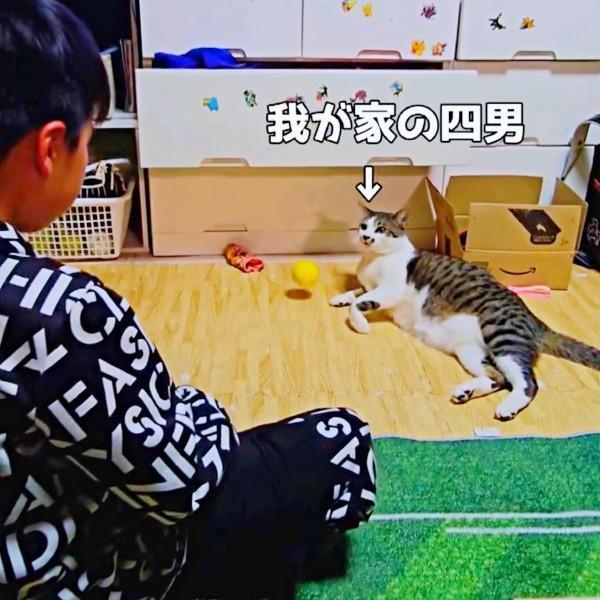 家族の四男坊・猫の「たいちょう」くん。キャッチボールの結果は！？（画像提供：井上 えりさん）
