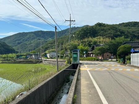 この風景、日本じゃなくて韓国のものなんです（ニシダさん提供）
