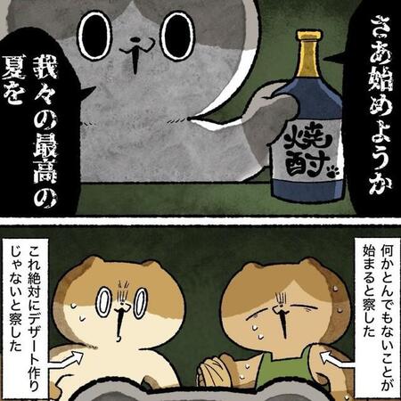 始まった夏（ゆう-ノープロブレムキャットさん提供）