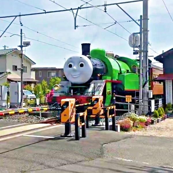 大井川鉄道のきかんしゃパーシー号（動画提供：茶農家佐京園13代目 佐京裕一郎さん）