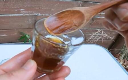 木から樹液をとって→何時間も煮詰め→完成したシロップはたった数10㏄…気が遠くなる工程を経てたどり着いた「至福の味わい」