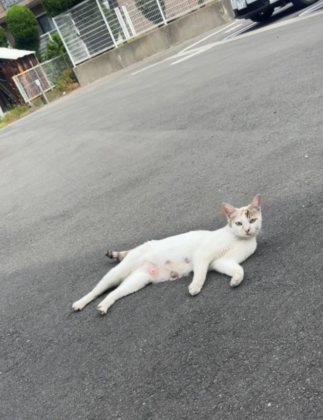 お腹には授乳の後が…（Megumiさん提供）