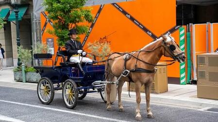 神戸の市街地に馬車が出現？（明石乗馬協会提供）